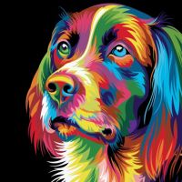 Uitverkoop van diamondpaintingshop.be