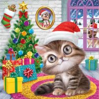 Uitverkoop van diamondpaintingshop.be