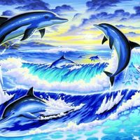 Uitverkoop van diamondpaintingshop.be