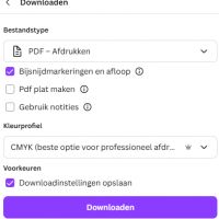 Ontwerpen met Canva