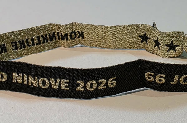 Toegangsticket Prinsaanstelling 2026