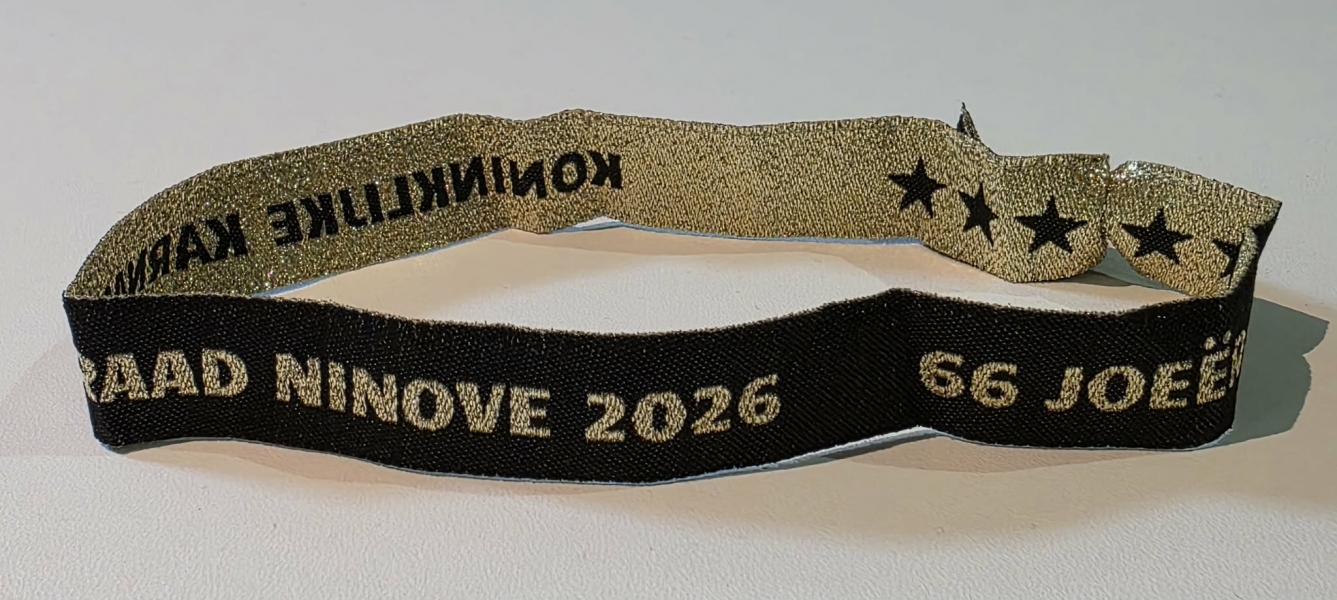 Toegangsticket Prinsaanstelling 2026